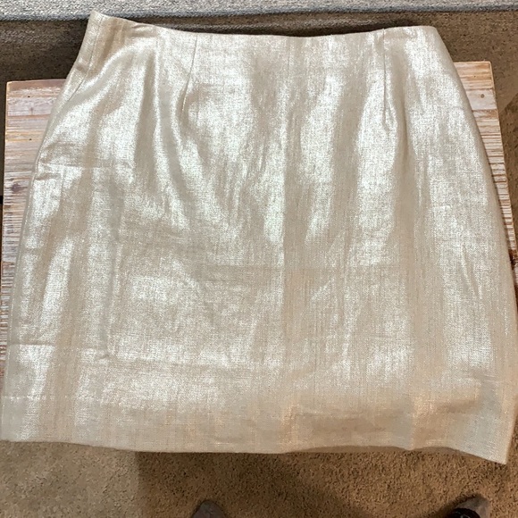 Boston Proper Dresses & Skirts - Boston Proper Mini Skirt with a nice shimmer. Size 2